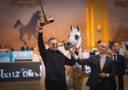 محمد الشيخ يقود الخيول الفلسطينية إلى إنجاز مشرف في بطولة دبي الدولية للجواد العربي 2026